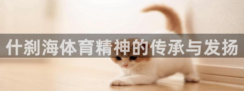 3377体育app下载安装