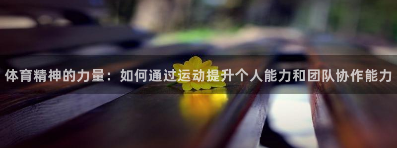 3377体育官网