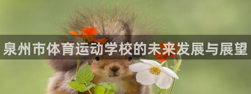 3377体育app下载安装