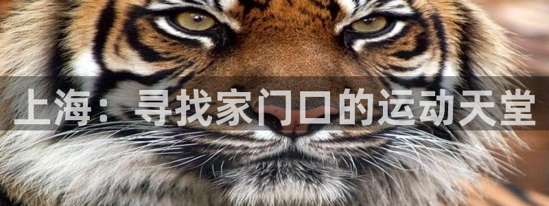 3377体育中国官方网站入口