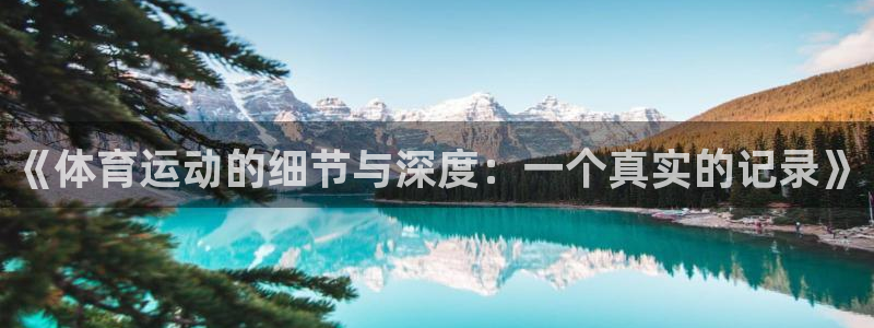 3377体育在线登录官网入口