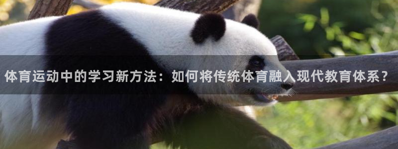 3377体育app下载安装