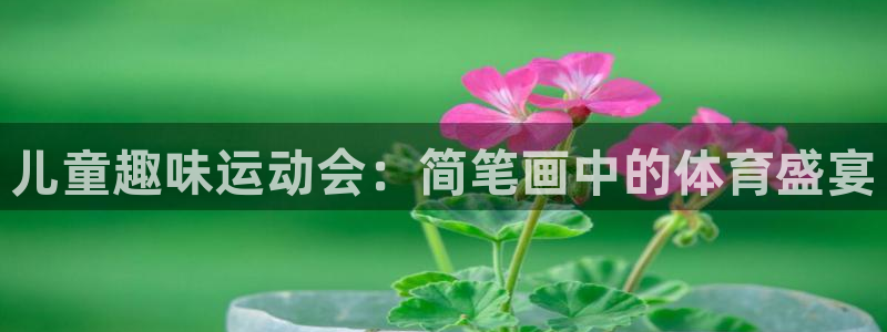 3377体育官网入口网页版