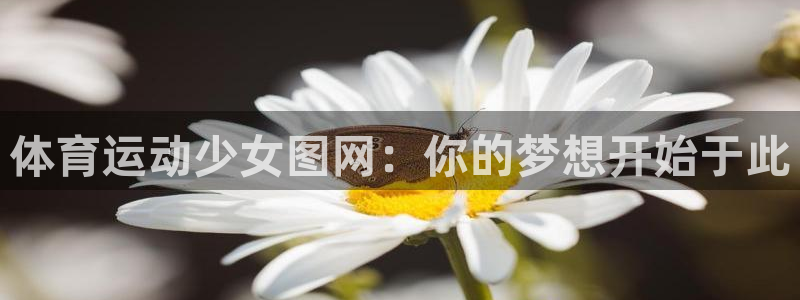 3377体育app官网下载地址