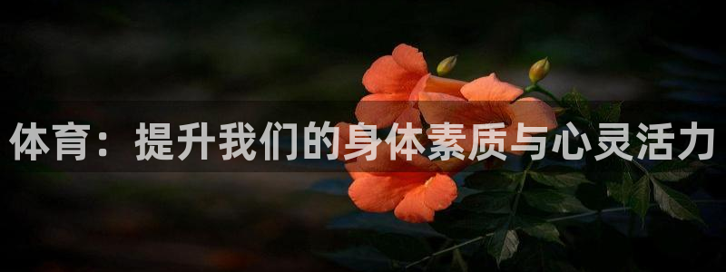 3377体育在线