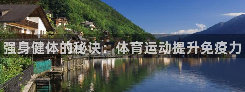 3377体育com