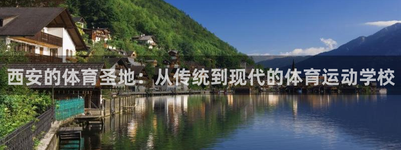 3377体育官网入口下载最新
