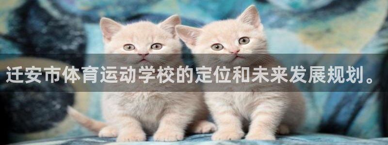 3377体育平台